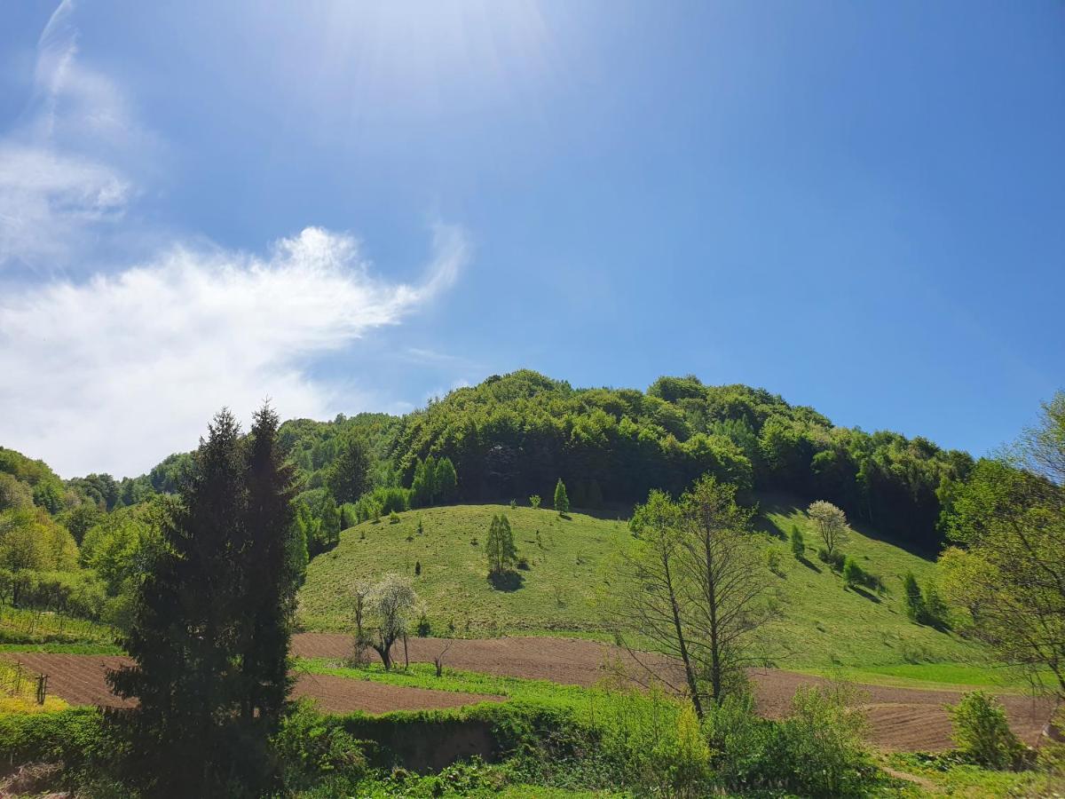 Planinsko Jutro - Brzece Centar Apartments, Kopaonik Exteriér fotografie
